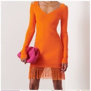 10 Crosby Derek Lam Long Sleeve knit Dress xs